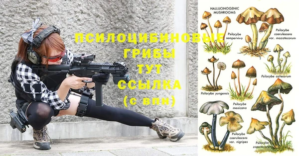 винт Алзамай
