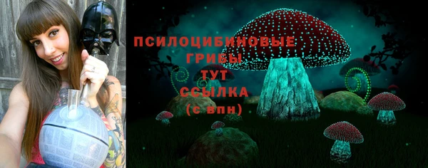 a pvp Алексин