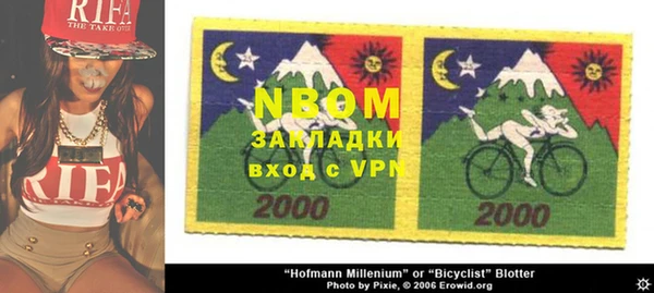 винт Алзамай