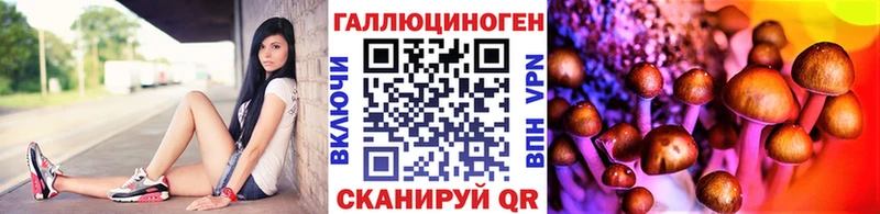 Псилоцибиновые грибы прущие грибы  Тюмень 